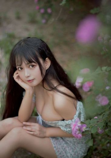 龙珠超第二季在线播放免费_BD国语在线观看完整版