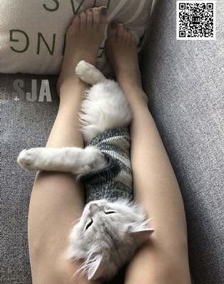 星辰影视大全在线观看电视剧_1080P在线播放